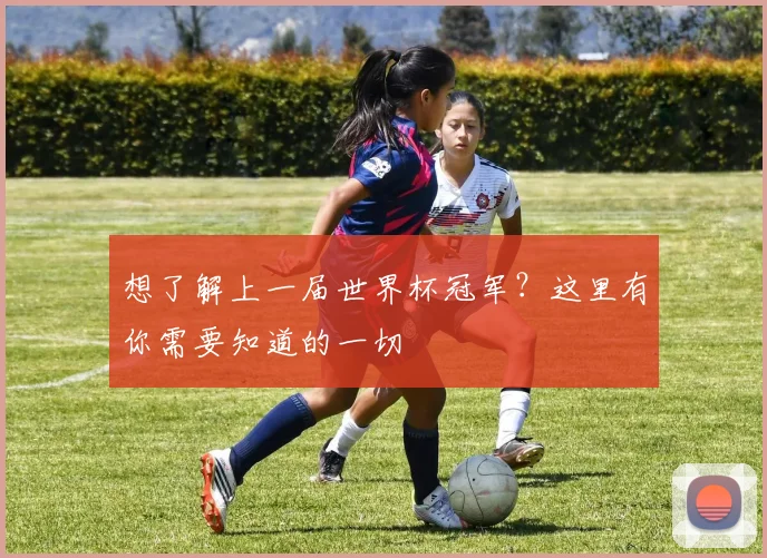 想了解上一届世界杯冠军？这里有你需要知道的一切