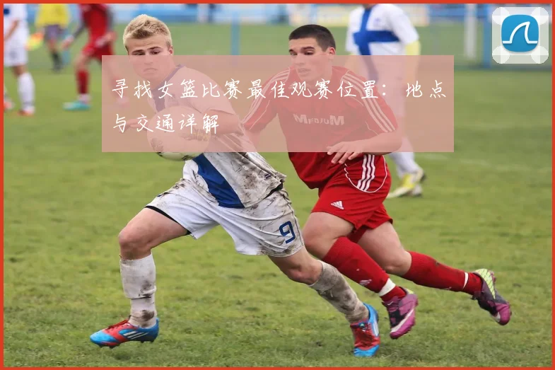 寻找女篮比赛最佳观赛位置:地点与交通详解