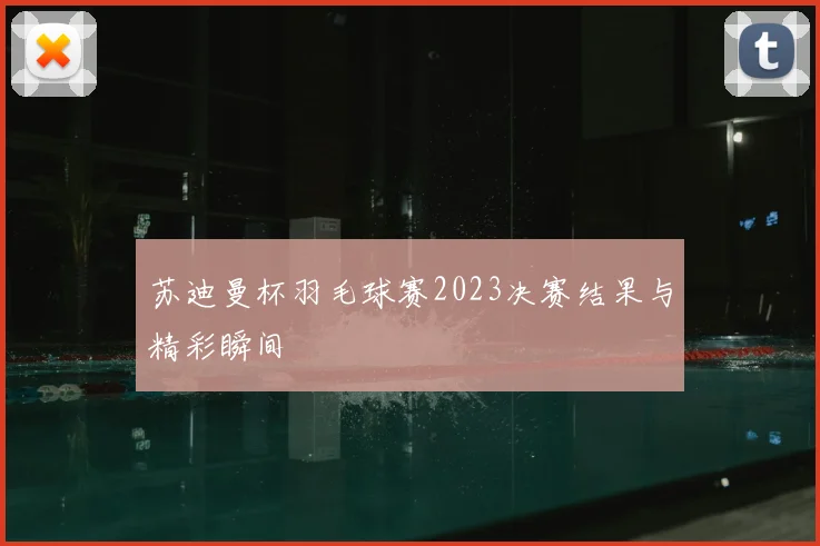 苏迪曼杯羽毛球赛2023决赛结果与精彩瞬间